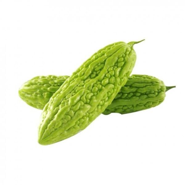 Fresh Bitter Gourd